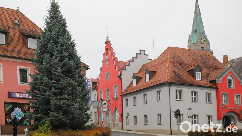 Heuer ist eine Blautanne der Christbaum auf dem Marktplatz. Bild: njn