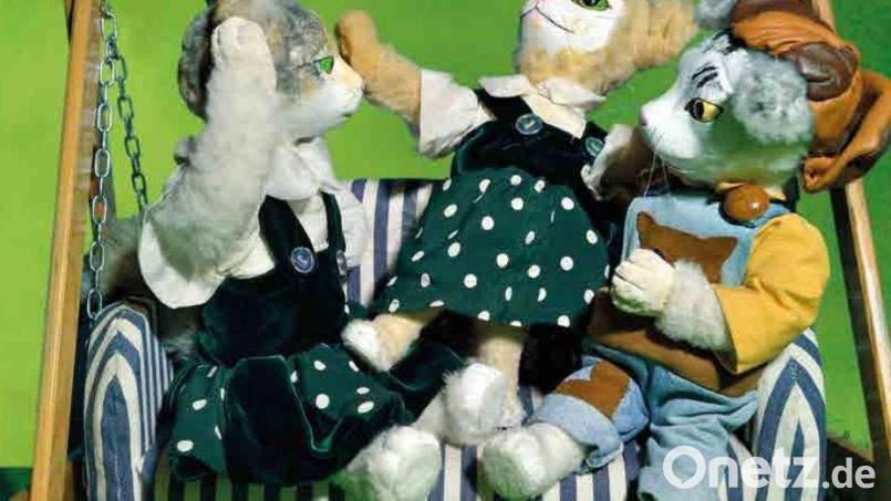Die Katzenkinder Lotte, Tom und Salome spielen in dem Theaterstück &quot;Pfoten weg!&quot; die Hauptrolle und vermitteln so den Kindern, wie wichtig es ist, Nein zu sagen. Bild: exb/Pfoten weg