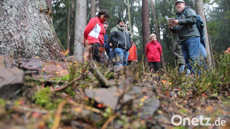 Markus Raum (rechts) und seine Wanderguppe auf einem Hügelgrab bei Aschach. Im Vordergrund liegen Steine, die wohl einst beim Aufschütten verwendet wurden. Bild: gri