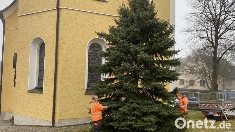 Mitarbeiter des Bauhofes stellen den Christbaum auf Bild: Josef Glas