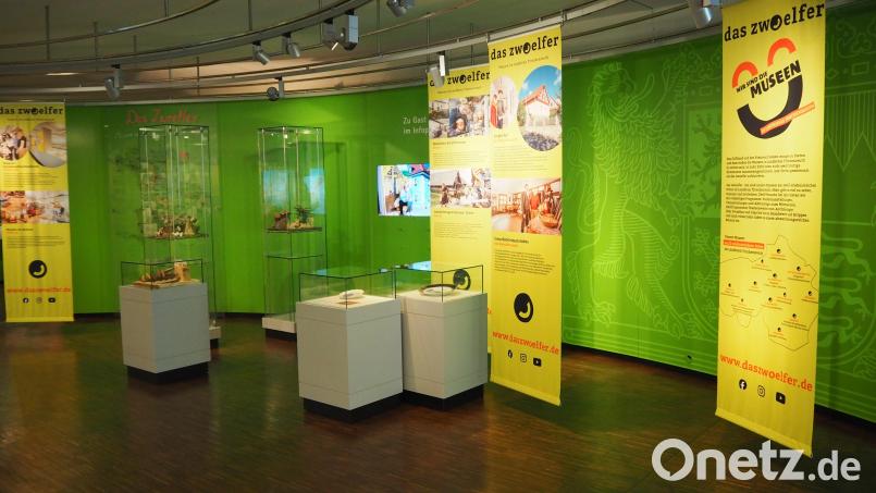 Die Sonderausstellung im Infopoint bietet einen Einblick in die vielfältige Museumslandschaft im Landkreis Tirschenreuth. Bild: Ikom Stiftland/exb