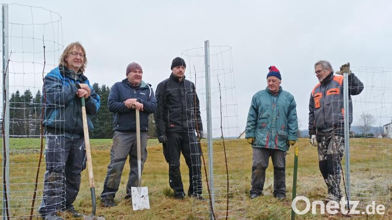 Unterstützer des Arbeitskreises Naturschutz haben 30 Wildobst-Sträucher entlang des Mittelwegs in die Erde gesetzt. Bild: ld