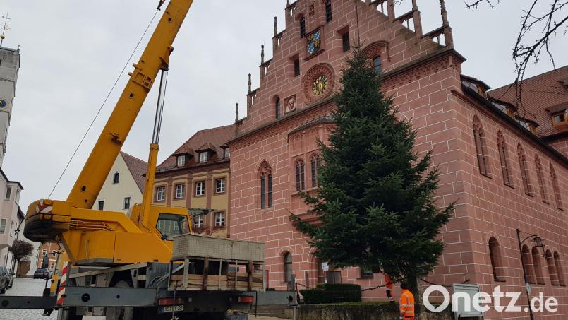 Die zehn Meter hohe Nordmanntanne vor dem Sulzbach-Rosenberger Rathaus ist eine Privatspende - sie stammt aus dem Garten eines Hausbesitzers am Lerchenfeld. Bild: Tobias Gräf