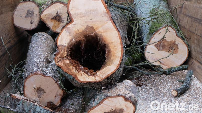 Der Stamm war zum Teil schon hohl. Bild: le