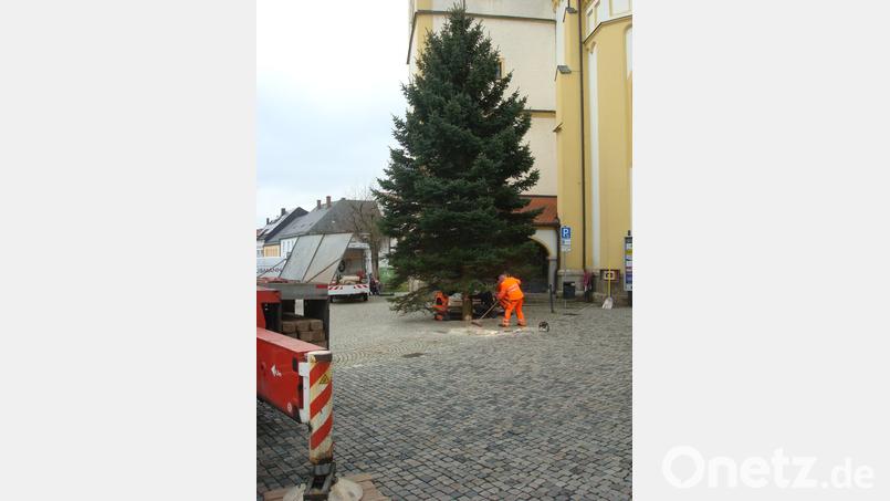 Bei der Pfarrkirche ist ein großer Christbaum aufgestellt worden. Bild: wmr