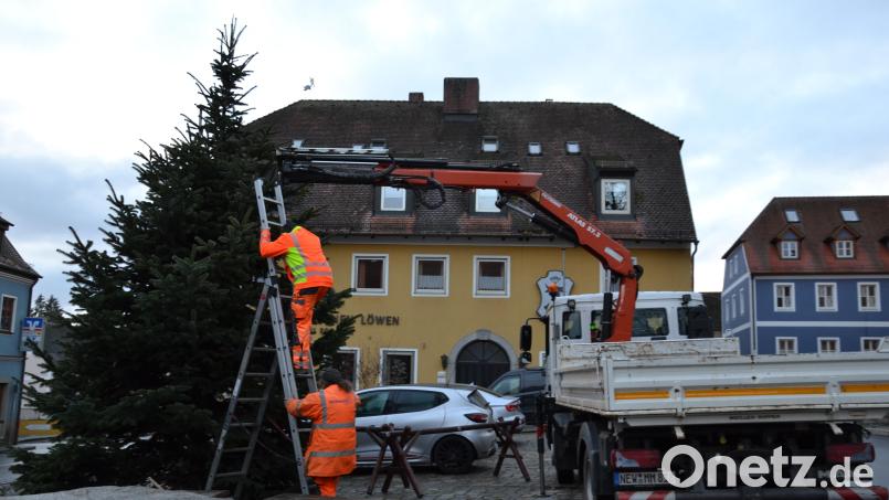 Karl Koller und Christian Scherer vom Bauhof des Marktes Moosbach haben einen schmucken Weihnachtsbaum am Marktplatz aufgestellt und verankert. Auch die Lichter sind schon angebracht. Heuer erstmals durch eine Hebebühne. Bild: gi