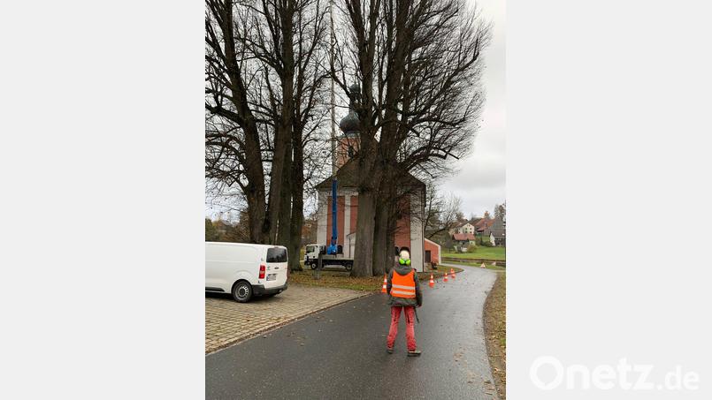 Winterlinden an Wieskirche von Totholz befreit. Mit Hebebühne und Seilklettertechnik waren dazu die Männer von der Baumpflege Lachmann zu den Arbeiten in schwindelnder Höhe in den Baumkronen. Bild: gi