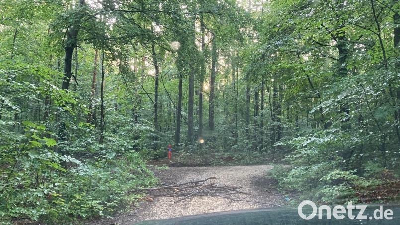 Holzblockaden auf den Wegen im Wald sind eine große Unfallgefahr, behindern die Wald- und Forstarbeit – und im Notfall auch den Rettungswagen. Bild: Paulus Eiberle, Stadt Amberg/exb