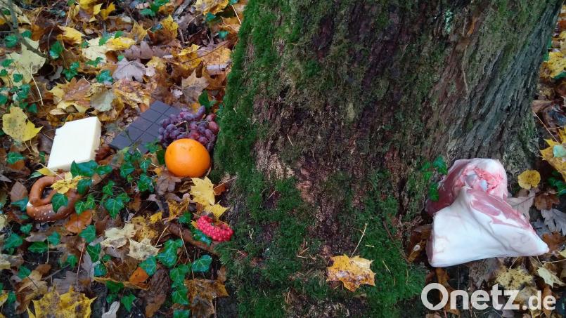 Nahrungsmittel im Wald: Das städtische Forstamt fragt sich, ob das um den Baum drapierte Obst und die rohen Schweinsknöchel Müllentsorgung oder eine Opfergabe war. Bild: Martin Seits, Stadt Amberg/exb