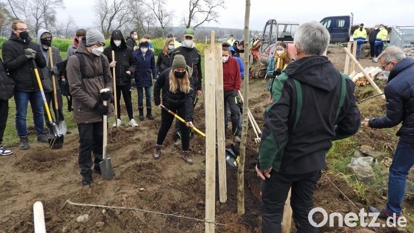 Der erste Baum steht. 16 Schüler der FOS/BOS helfen bei der Schaffung der Ausgleichsfläche im direkten Bereich des Waldnaab-Dükers. Bild: Winkler