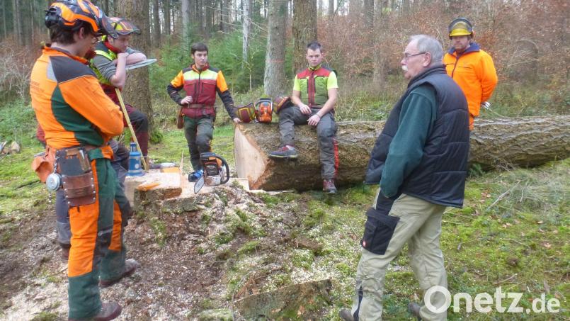 Die Forstschüler haben ganze Arbeit geleistet. Dafür gab es ein Lob vom Forstwirtschaftsmeister Markus Eckl und Hobbyschreiner Richard Winderl. Bild: mad