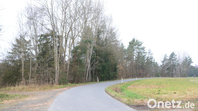 Der Gehölzbestand links der Straße von Haslhöhe nach Sperlhammer müsste komplett beseitigt werden, um die Photovolatikanlage errichten zu können. Bild: bey