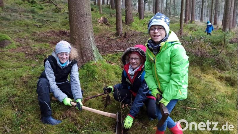Eine Gruppe Kinder macht mit bei der Pflanzaktion des Kreisjugendrings. Bild: Kreisjugendring Neustadt/WN/exb