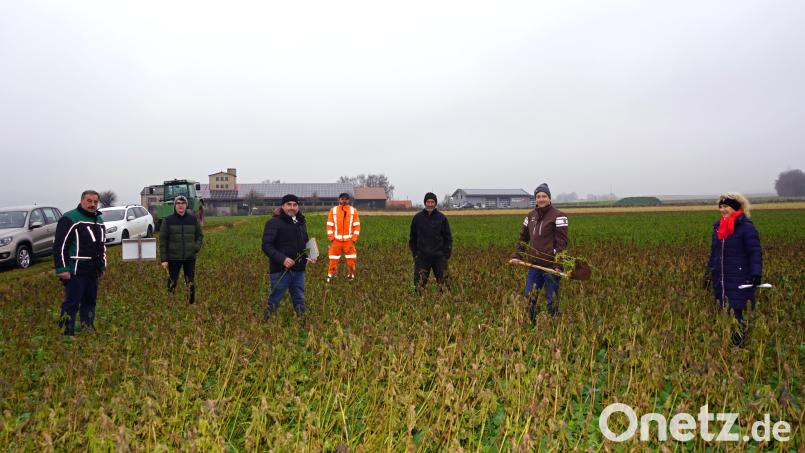 Bürgermeister Josef Beimler (von links), Praktikant Simon Schwab, Dipl.-Ing. Martin Schreyer, Waldthurns Wasserwart Sebastian Maier, Landwirt Franz Lukas, AELF-Gewässerschutzbeauftragte Michael Lukas und Christine Griesbach (Sachgebiet Wasserschutz der Marktgemeinde Waldthurn) inspizieren die Demoanlage bei Maienfeld. Bild: fvo