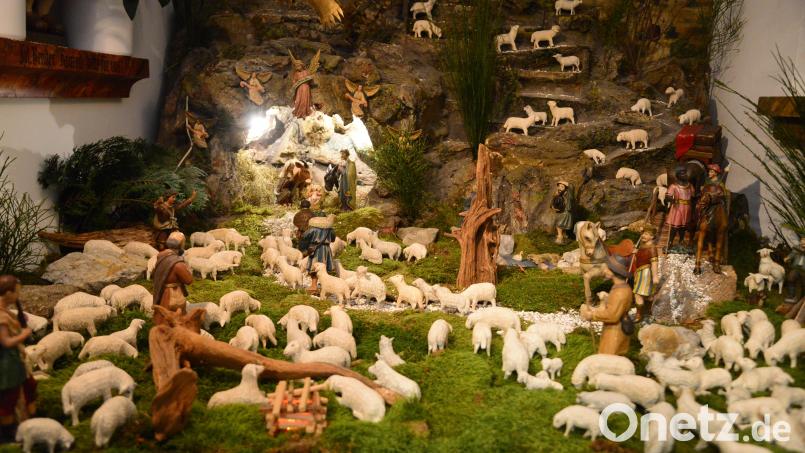 In der Kreuzbergkirche in Pleystein haben die Mitglieder der Holzschnitzergemeinschaft wieder die vereinseigene Krippe aufgestellt. Bild: bey