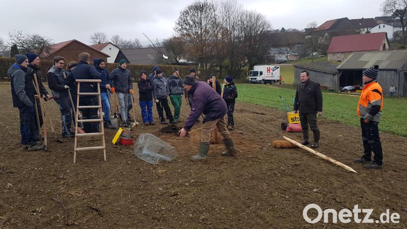 Im Rahmen des Unterrichtsfaches Naturschutz und Landschaftspflege pflanzen die Schüler/innen des 1. Semesters der Landwirtschaftsschule Weiden zwanzig Obstbäume unter Anleitung ihrer Lehrers Gerhard Gradl (Dritter von rechts). Für den Bayerischen Jagdverband richtete der Vorsitzende der Kreisgruppe Vohenstrauß Christian Ertl (Zweiter von rechts) Worte des Dankes. Auch Betriebsleiter Bernhard Rom (rechts) freute sich über die fachmännischen Hilfen der Landwirtschaftsschule. Bild: gi