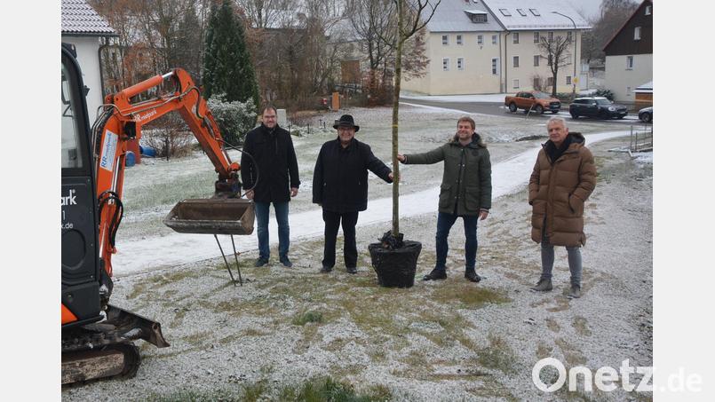 Umfangreiche Pflanzaktionen haben am Montagvormittag an der Wegeverbindung Weidaweg-Am Bühl begonnen. Zum Auftakt wurde ein Apfelbaum gepflanzt. Mit dabei waren (von links) Stefan Döllinger (Marktverwaltung), Bürgermeister Klaus Meyer, Geschäftsführer Josef Roth (Firma Punzmann) und Architekt Ulrich Greiner. Bild: jr