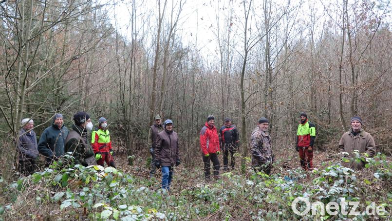 Wirtschaftsmeister Markus Schneider (Zweiter von rechts) erklärte den Waldbesitzern im Kastler Kirchwald das richtige Vorgehen bei der Pflege eines Laubbaumbestandes. Bild: jzk