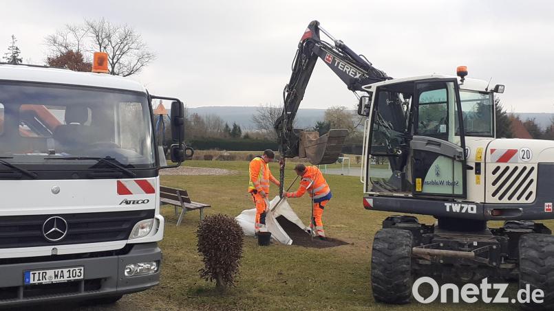 Die Stadtbauhof-Mitarbeiter Benjamin Müller (rechts) und Max Friedl trafen die Vorbereitungen für die Pflanzung. Bild: Reinhard Rustler/exb