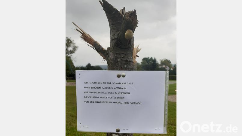 "Wer macht so eine schändliche Tat?", heißt es auf dem Schild am Stamm des beschädigten Baumes, der vor gut zehn Jahren von Anwohnern des Pencoed-Rings geplanzt worden war. Bild: Reinhard Rustler/exb