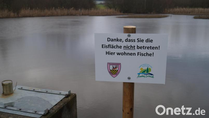 Der Landschaftspflegeverband Amberg-Sulzbach und der Fischereiverein Amberg
haben dieses Schild am Schönweiher (Forsthof) angebracht. Bild: oe