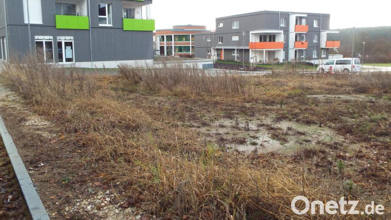 Ein Gemeinschaftsgarten als generationenverbindende Maßnahme: Wo es derzeit noch ziemlich ungeordnet aussieht, könnte in Kümmersbruck mittelfristig eine solche Einrichtung entstehen. Die Lage neben Wohnanlage Herbstwiesen, Arbeiterwohlfahrt, Kindergarten und Schulen bietet sich dafür an. Bild: e