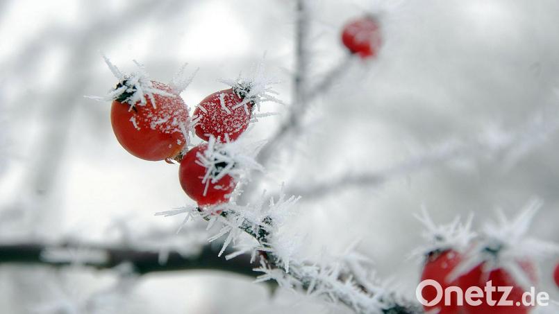 Das nächste Tief steht schon in den Startlöchern und wird die Oberpfalz in der Nacht zu Samstag mit Wind und Schnee erreichen. Bild: Petra Hartl