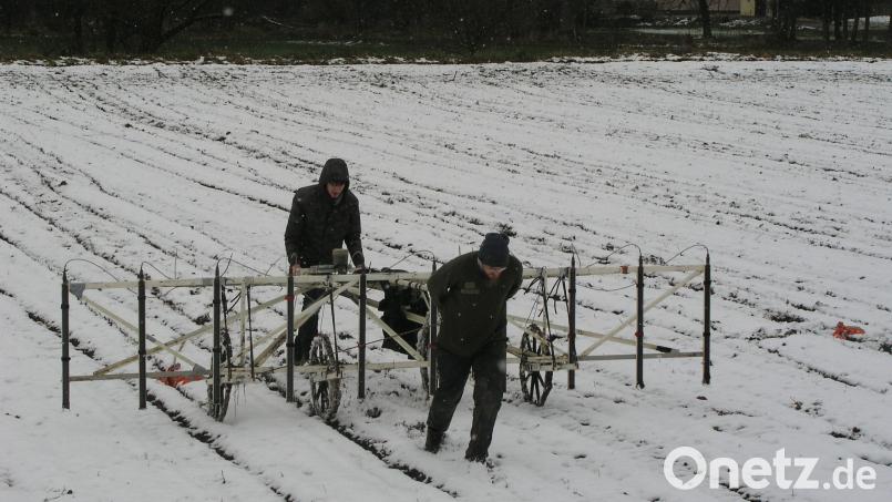 Jan Havelka (vorne) und David Vanecek ziehen das Gerät zur Magnetprospektion über den Acker und machen so Veränderungen der Magnetfelder aus Bild: Heinrich Schwarz/exb