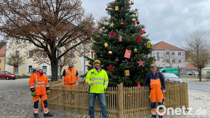 Keine Mannschaft, kein Baum: Damit wollten sich die Pfreimder nicht abfinden. Der neue Bauhofleiter Uwe Groß (vorne, Mitte) bot Hilfe an, der Blumenhof Butz spendierte einen Ersatz-Baum. Bild: Robert Kostner/exb