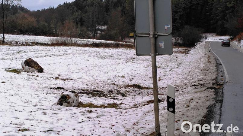 Diese Felsen sind aus einem Dolomitkopf herausgebrochen, donnernd zu Tal gerollt, über die Straße gesprungen und in der angrenzenden Wiese gelandet. Bild: jp