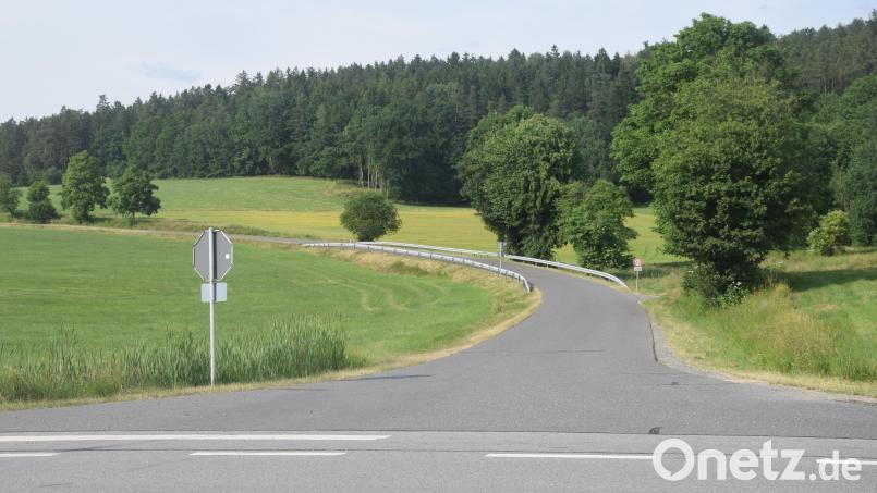Wenn die Flächennutzungsplanänderung genehmigt ist, womit gerechnet werden kann, wird der Bebauungsplan &quot;Solarpark&quot; rechts unterhalb des Walds der Straße von Irchenrieth nach Bechtsrieth wirksam. Die Größe des Solarparks soll 4,2 Hektar betragen. Archivbild: fz