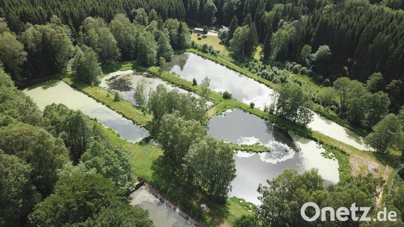 Die bestehende Kläranlage in Stadlern entspricht nicht mehr dem technischen Stand. Für den Neubau werden die Anschließer zu Beiträgen herangezogen. Bild: mmj