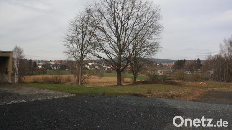 In Waldsassen sind im Gebiet &quot;Teufelswehr&quot; diese Bäume beseitigt worden (Aufnahme vom März 2016), was Ende November für Ärger sorgte und nun noch einmal Thema im Stadtrat war. Bild: Harald Hertel/exb