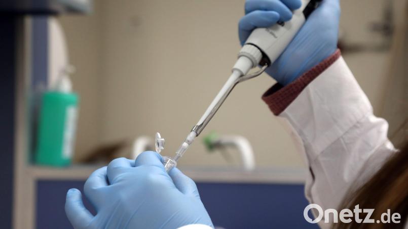 Impfstoffe sollen eine schwächere Immunantwort gegen die Omikron-Virusvariante erzeugen. Bild: Gideon Markowicz/dpa