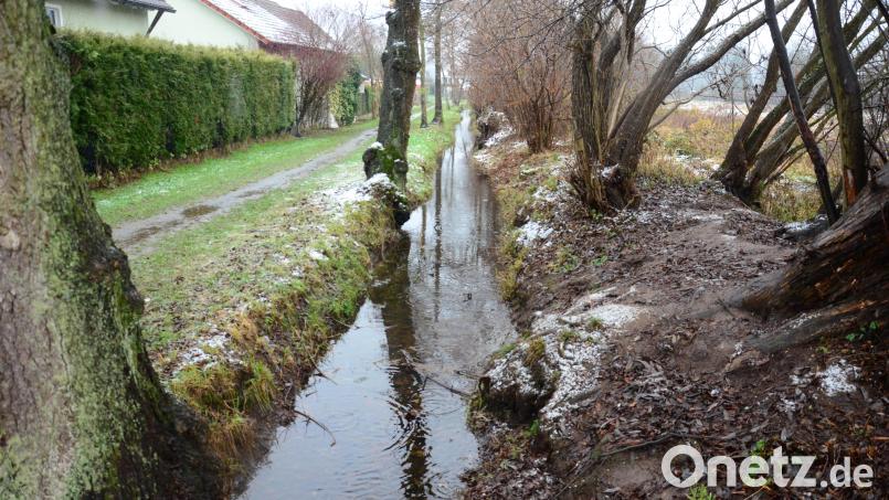 Jetzt, im Dezember, führt der Rehmühlbach genügend Wasser. Bild: Kunz