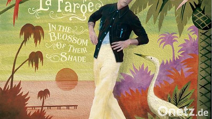 Pokey LaFarge: In The Blossom Of Their Shade Bild: exb