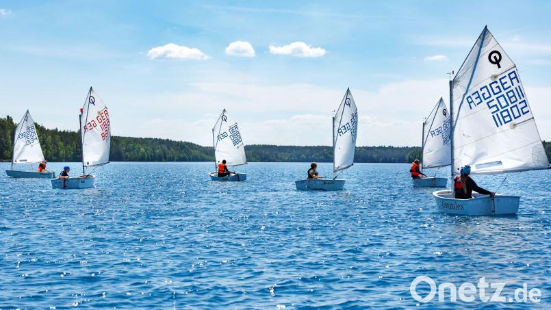 Die jungen Weidener segler in ihren Optimisten-Booten. Jetzt wechseln viele in die nächste Bootsklasse. Bild: Schraml/privat