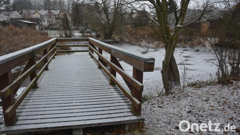 Eine Komplettsanierung erfährt der Dorfweiher in Bad Neualbenreuth, Nähe des früheren Raiffeisenareals. Schon im Januar soll mit ersten Arbeiten begonnen werden. Bild: jr