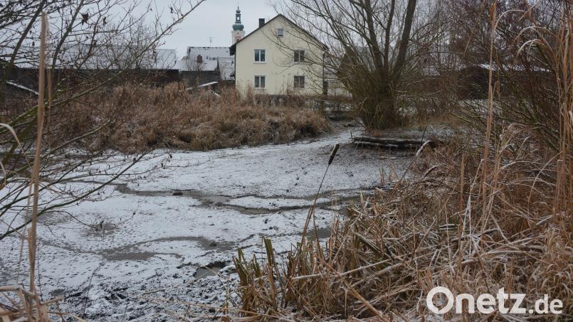 Eine Komplettsanierung erfährt der Dorfweiher in Bad Neualbenreuth, Nähe des früheren Raiffeisenareals. Schon im Januar soll mit ersten Arbeiten begonnen werden. Bild: jr