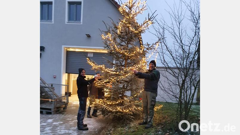 Der Oberbernriether Christbaum steht Bild: fvo