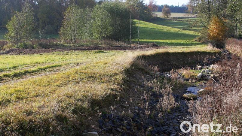 Maßnahmen zur Klimaanpassung vor Ort wurden unter anderem auf dem Areal beim Wiesau-Bach bei Hurtingöd im Nordosten der Marktgemeinde Fuchsmühl umgesetzt. Das Foto wurde im Oktober dieses Jahres aufgenommen. Archivbild: wro