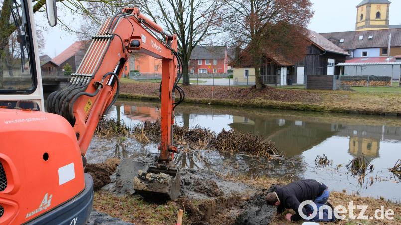 Mit Baggerschürfen untersucht die Firma Spang auch die Uferzonen der Creußen im Ortsbereich Tremmersdorf. Bild: do