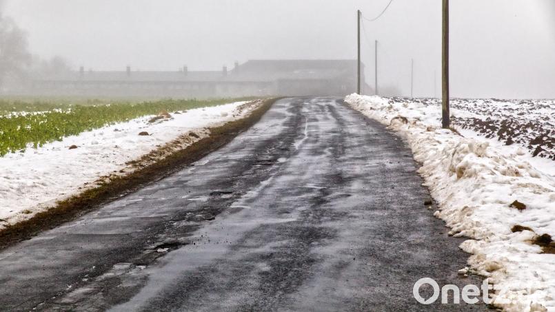Die Gemeindeverbindungsstraße Wildenreuth-Frodersreuth soll ausgebaut werden. Bild: njn