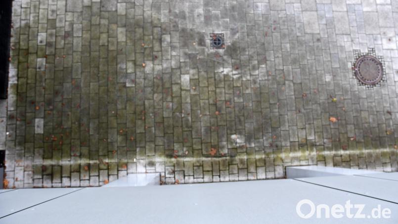 Ein kleines Wunder. Das Kleinkind überlebte den Fenstersturz aus 5,40 Metern verletzte, die Achtjährige erlitt Knochenbrüche. Bild: Gabi Schönberger