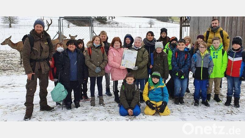 Beim Naturaktionstag im Naturpark Hirschwald besichtigen die Fünftklässler der Mittelschule Ensdorf auch das Rotwildgehege in Heinzhof. Bild: Betty Geitner/exb
