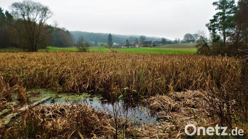 Landschaft, fast wie im Winterschlaf. Bild: jml