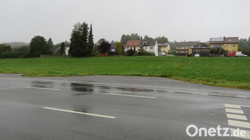 Auf dieser Wiese soll ein Getränke- und Lebensmittelmarkt entstehen. Der erste Vorentwurf des Bebauungsplans wurde nun im Gemeinderat vorgestellt. Bild: adj