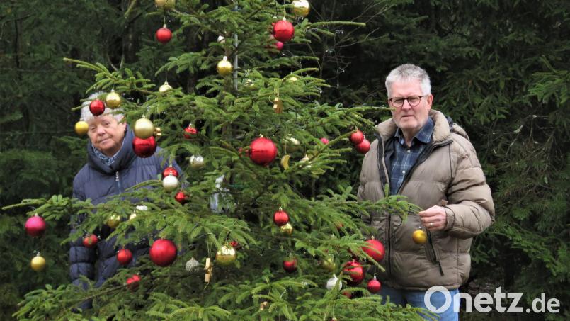 Helga und Rainer Ackerschewski hängen den "Christbaum der Herzen", der vor einem Waldstück mitten auf einer Wiese an der Straße zwischen Tirschenreuth und Wondreb steht, jedes Jahr wieder liebevoll an. Bild: ubb