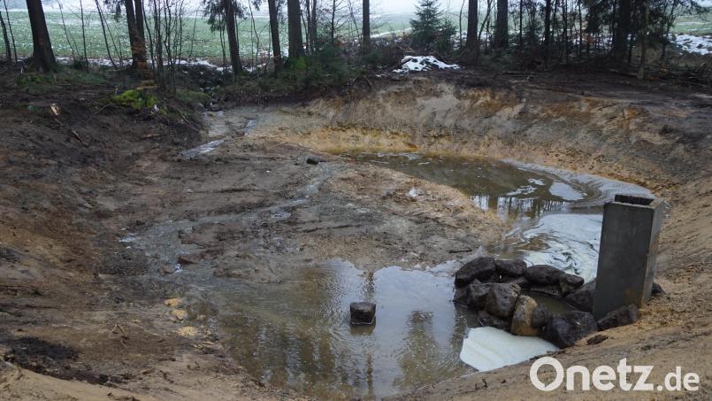 Dem lokalen Hochwasserschutz und dem Naturschutz dient der Regenrückhalteteich im Armesbergwald. Bild: bkr