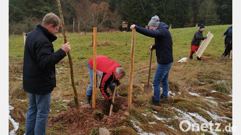 Gemeinderäte beim Bäumepflanzen: Neue Obstbäume für die Streuobstwiese am Naturerlebnisweg mussten kurzfristig in die Erde, viele Gemeinderäte waren spontan dabei und halfen mit. Bild: Gemeinde Kohlberg/exb